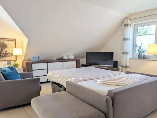 Schlafsofa mit Matratze